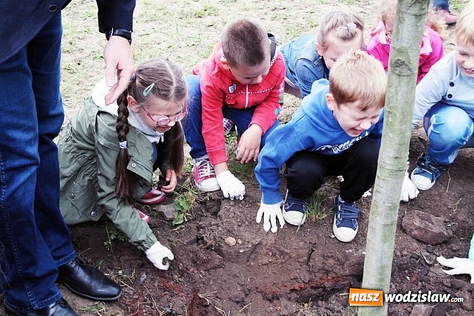 Zdjęcie w galerii na portalu naszwodzislaw.com: W Wodzisławiu powstała aleja klonów. Sadzeniem zajęły się przedszkolaki wiadomości z regionu