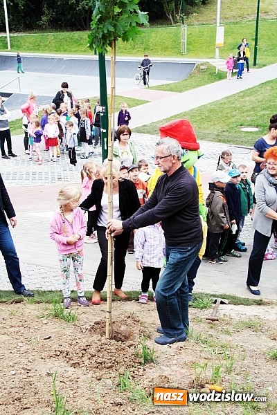 Zdjęcie w galerii na portalu naszwodzislaw.com: W Wodzisławiu powstała aleja klonów. Sadzeniem zajęły się przedszkolaki wiadomości z regionu