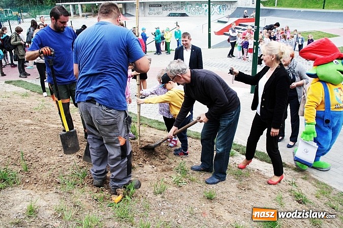Zdjęcie w galerii na portalu naszwodzislaw.com: W Wodzisławiu powstała aleja klonów. Sadzeniem zajęły się przedszkolaki wiadomości z regionu