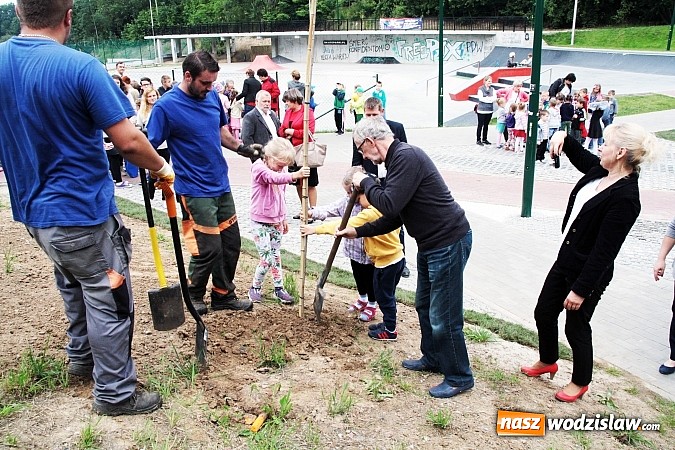Zdjęcie w galerii na portalu naszwodzislaw.com: W Wodzisławiu powstała aleja klonów. Sadzeniem zajęły się przedszkolaki wiadomości z regionu