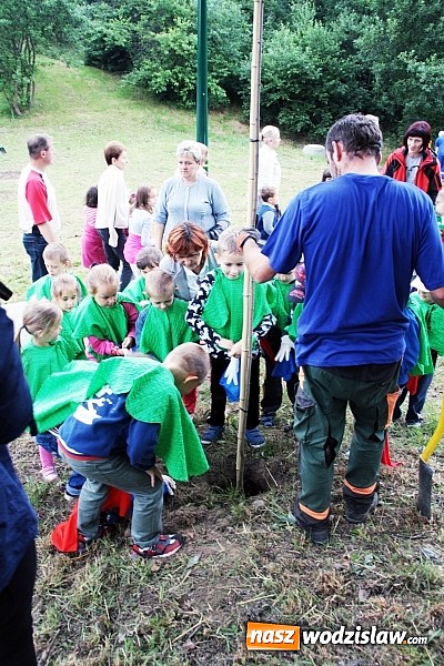 Zdjęcie w galerii na portalu naszwodzislaw.com: W Wodzisławiu powstała aleja klonów. Sadzeniem zajęły się przedszkolaki wiadomości z regionu