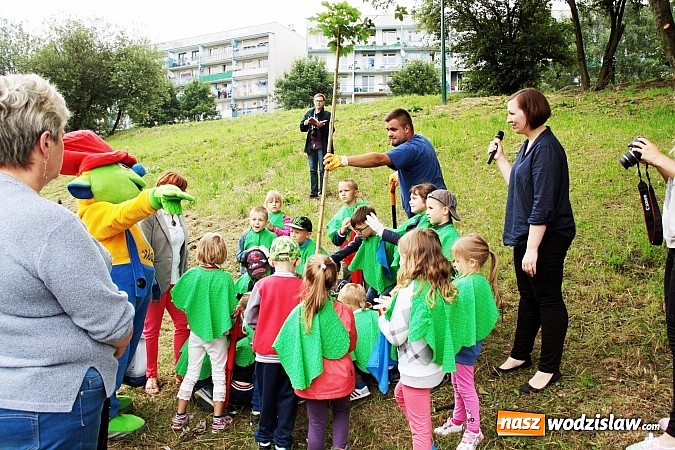 Zdjęcie w galerii na portalu naszwodzislaw.com: W Wodzisławiu powstała aleja klonów. Sadzeniem zajęły się przedszkolaki wiadomości z regionu