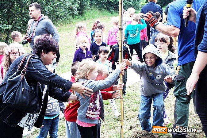 Zdjęcie w galerii na portalu naszwodzislaw.com: W Wodzisławiu powstała aleja klonów. Sadzeniem zajęły się przedszkolaki wiadomości z regionu
