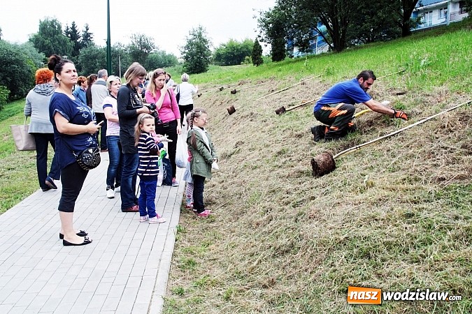 Zdjęcie w galerii na portalu naszwodzislaw.com: W Wodzisławiu powstała aleja klonów. Sadzeniem zajęły się przedszkolaki wiadomości z regionu