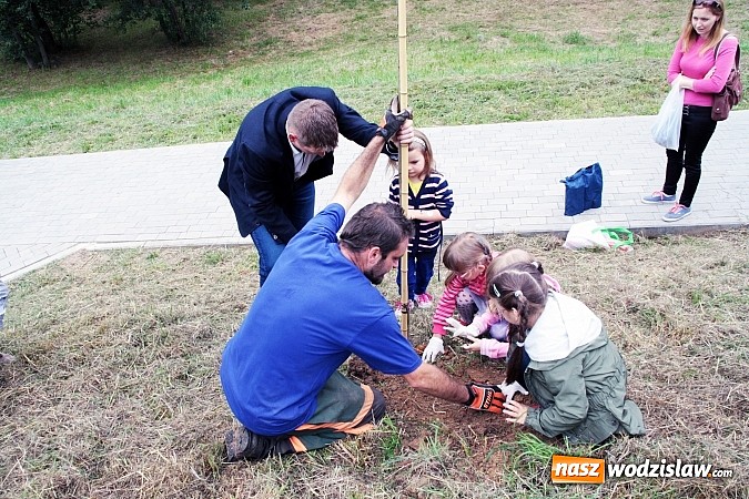 Zdjęcie w galerii na portalu naszwodzislaw.com: W Wodzisławiu powstała aleja klonów. Sadzeniem zajęły się przedszkolaki wiadomości z regionu