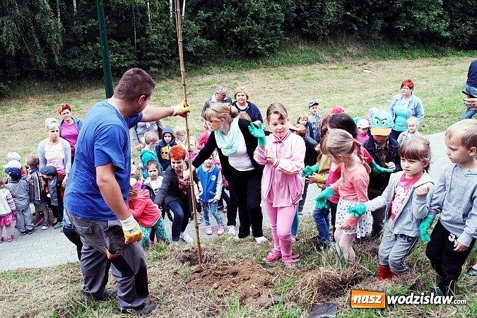 Zdjęcie w galerii na portalu naszwodzislaw.com: W Wodzisławiu powstała aleja klonów. Sadzeniem zajęły się przedszkolaki wiadomości z regionu