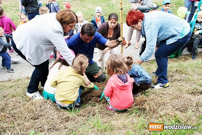 Zdjęcie w galerii na portalu naszwodzislaw.com: W Wodzisławiu powstała aleja klonów. Sadzeniem zajęły się przedszkolaki wiadomości z regionu