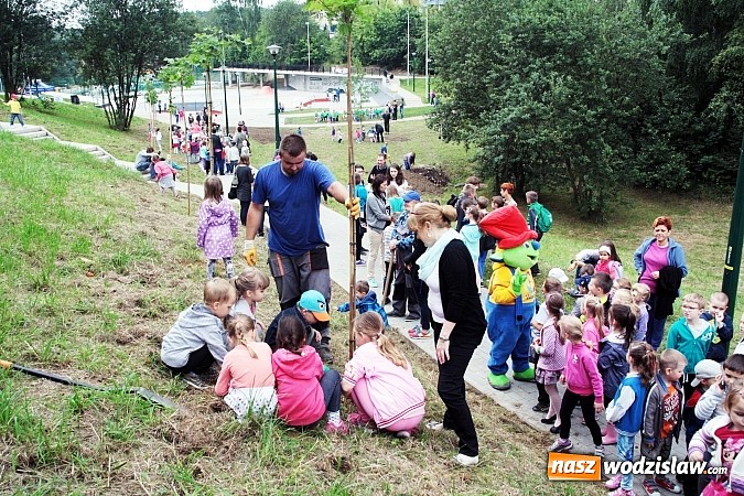 Zdjęcie w galerii na portalu naszwodzislaw.com: W Wodzisławiu powstała aleja klonów. Sadzeniem zajęły się przedszkolaki wiadomości z regionu