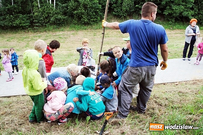 Zdjęcie w galerii na portalu naszwodzislaw.com: W Wodzisławiu powstała aleja klonów. Sadzeniem zajęły się przedszkolaki wiadomości z regionu