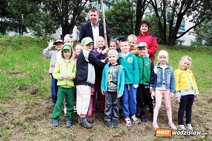 Zdjęcie w galerii na portalu naszwodzislaw.com: W Wodzisławiu powstała aleja klonów. Sadzeniem zajęły się przedszkolaki wiadomości z regionu
