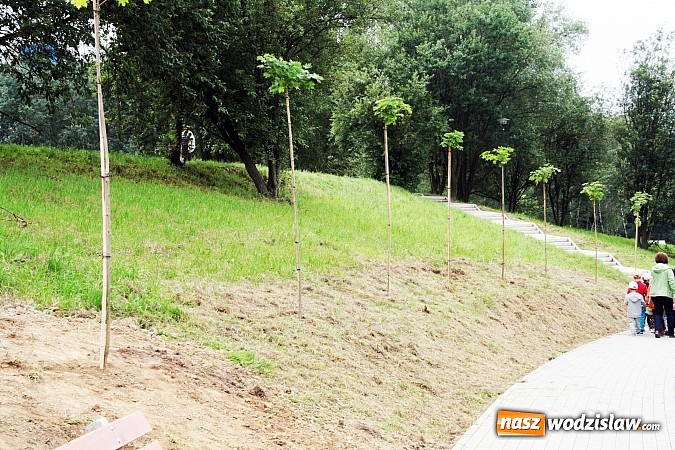 Zdjęcie w galerii na portalu naszwodzislaw.com: W Wodzisławiu powstała aleja klonów. Sadzeniem zajęły się przedszkolaki wiadomości z regionu