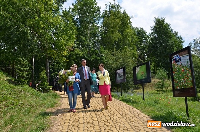 Zdjęcie w galerii na portalu naszwodzislaw.com: 