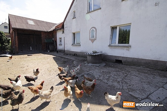 Zdjęcie w galerii na portalu naszwodzislaw.com: Po tej wsi w powiecie wodzisławskim nie ma już śladu [FOTO i WIDEO]  wiadomości z regionu