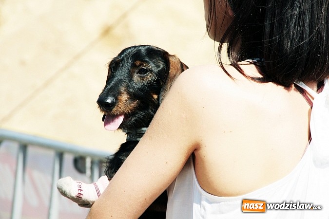 Zdjęcie w galerii na portalu naszwodzislaw.com: Niesamowite sportowe emocje zagościły na wodzisławski rynek wiadomości z regionu