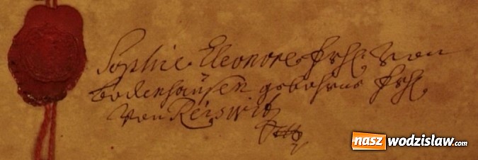 Zdjęcie w galerii na portalu naszwodzislaw.com: W Lubomi podczas prac archeologicznych odnaleziono szkielet kobiety wiadomości z regionu