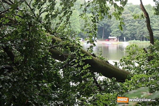 Zdjęcie w galerii na portalu naszwodzislaw.com: Potężna nawałnica przeszła przez nasz region  wiadomości z regionu