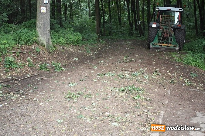 Zdjęcie w galerii na portalu naszwodzislaw.com: Potężna nawałnica przeszła przez nasz region  wiadomości z regionu