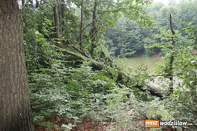 Zdjęcie w galerii na portalu naszwodzislaw.com: Potężna nawałnica przeszła przez nasz region  wiadomości z regionu