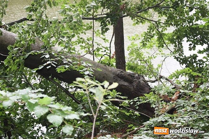 Zdjęcie w galerii na portalu naszwodzislaw.com: Potężna nawałnica przeszła przez nasz region  wiadomości z regionu