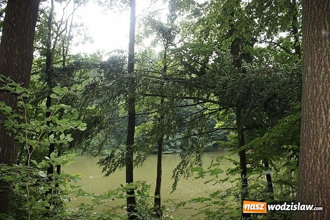 Zdjęcie w galerii na portalu naszwodzislaw.com: Potężna nawałnica przeszła przez nasz region  wiadomości z regionu