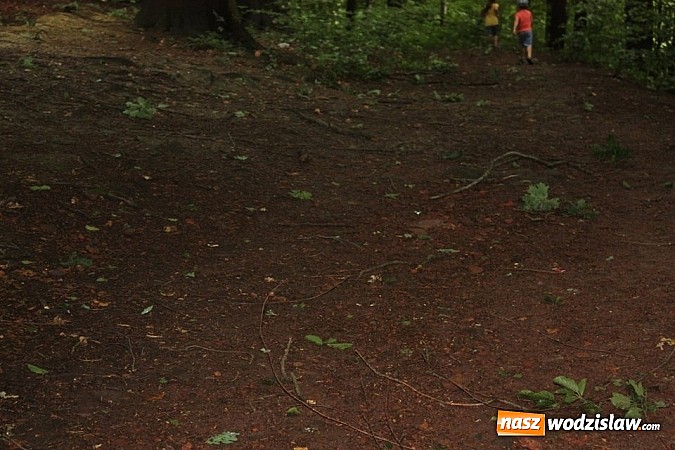 Zdjęcie w galerii na portalu naszwodzislaw.com: Potężna nawałnica przeszła przez nasz region  wiadomości z regionu