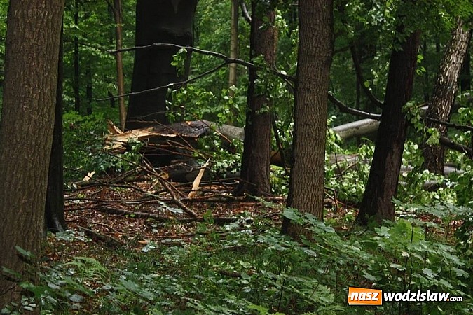 Zdjęcie w galerii na portalu naszwodzislaw.com: Potężna nawałnica przeszła przez nasz region  wiadomości z regionu