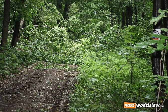 Zdjęcie w galerii na portalu naszwodzislaw.com: Potężna nawałnica przeszła przez nasz region  wiadomości z regionu
