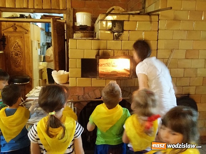 Zdjęcie w galerii na portalu naszwodzislaw.com: Co ciekawego działo się w Przedszkolu nr 1 w Pszowie w maju i czerwcu?  wiadomości z regionu