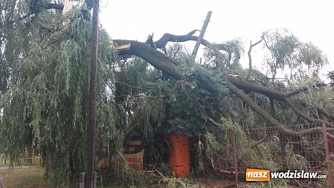 Zdjęcie w galerii na portalu naszwodzislaw.com: Skutki zniszczeń po nawałnicy w naszym regonie są ogromnie. Dotąd wodzisławscy strażacy interweniowali 118 razy, a to nie koniec wiadomości z regionu