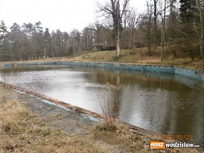 Zdjęcie w galerii na portalu naszwodzislaw.com: Program ochrony płazów w ZPKWŚ w Oddziale w Rudach wiadomości z regionu