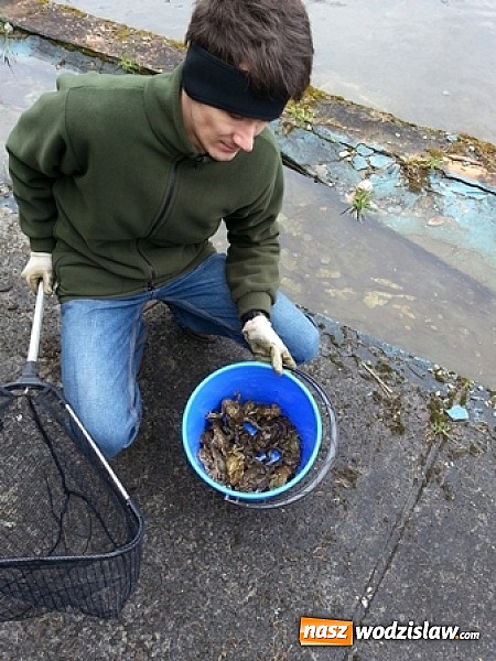 Zdjęcie w galerii na portalu naszwodzislaw.com: Program ochrony płazów w ZPKWŚ w Oddziale w Rudach wiadomości z regionu