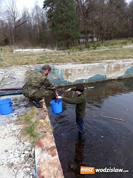 Zdjęcie w galerii na portalu naszwodzislaw.com: Program ochrony płazów w ZPKWŚ w Oddziale w Rudach wiadomości z regionu