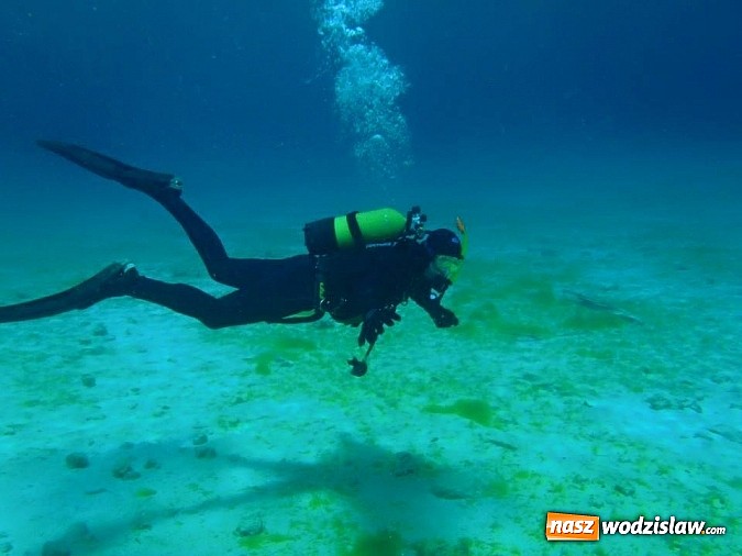 Zdjęcie w galerii na portalu naszwodzislaw.com: Przygotuj się do przygody życia - kolejne kursy z Blue Diving na horyzoncie! wiadomości z regionu