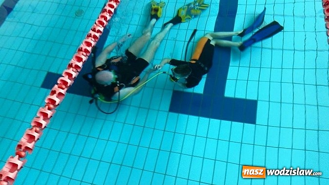 Zdjęcie w galerii na portalu naszwodzislaw.com: Przygotuj się do przygody życia - kolejne kursy z Blue Diving na horyzoncie! wiadomości z regionu