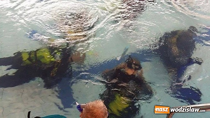 Zdjęcie w galerii na portalu naszwodzislaw.com: Przygotuj się do przygody życia - kolejne kursy z Blue Diving na horyzoncie! wiadomości z regionu
