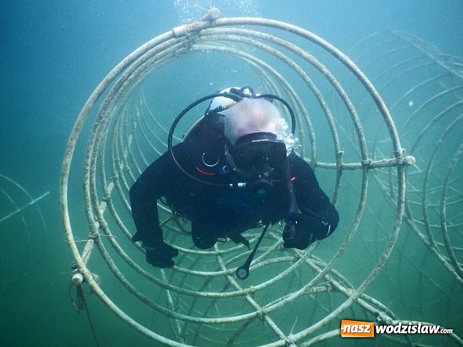 Zdjęcie w galerii na portalu naszwodzislaw.com: Przygotuj się do przygody życia - kolejne kursy z Blue Diving na horyzoncie! wiadomości z regionu