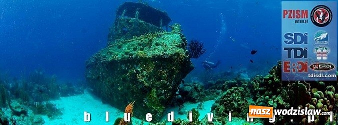 Zdjęcie w galerii na portalu naszwodzislaw.com: Przygotuj się do przygody życia - kolejne kursy z Blue Diving na horyzoncie! wiadomości z regionu