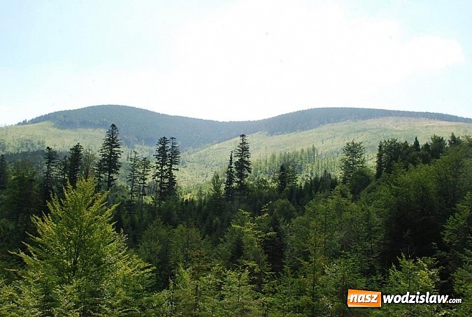 Zdjęcie w galerii na portalu naszwodzislaw.com: Marsz po górskich szlakach z Miejskim Ośrodkiem Sportu i Rekreacji Centrum  wiadomości z regionu