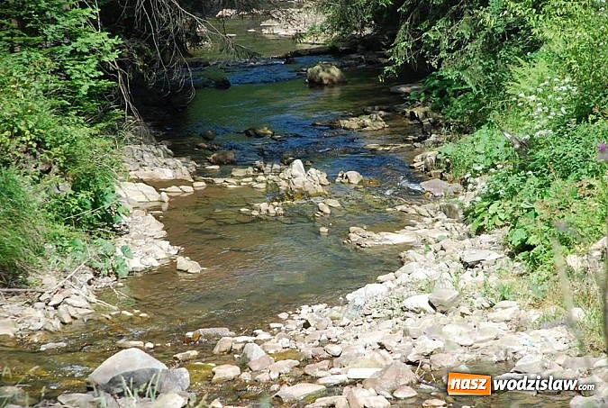 Zdjęcie w galerii na portalu naszwodzislaw.com: Marsz po górskich szlakach z Miejskim Ośrodkiem Sportu i Rekreacji Centrum  wiadomości z regionu