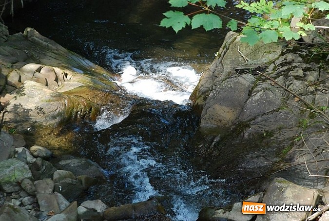 Zdjęcie w galerii na portalu naszwodzislaw.com: Marsz po górskich szlakach z Miejskim Ośrodkiem Sportu i Rekreacji Centrum  wiadomości z regionu