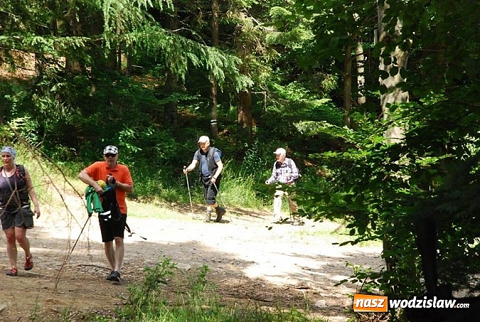 Zdjęcie w galerii na portalu naszwodzislaw.com: Marsz po górskich szlakach z Miejskim Ośrodkiem Sportu i Rekreacji Centrum  wiadomości z regionu