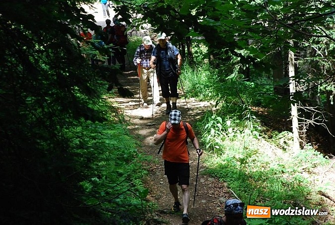 Zdjęcie w galerii na portalu naszwodzislaw.com: Marsz po górskich szlakach z Miejskim Ośrodkiem Sportu i Rekreacji Centrum  wiadomości z regionu
