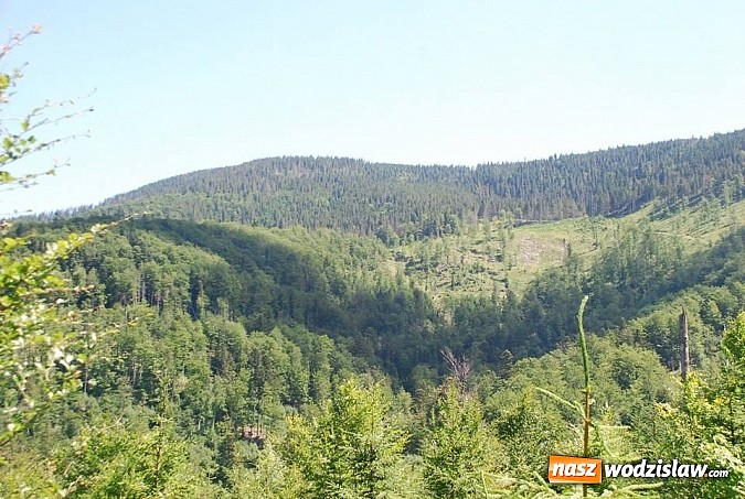 Zdjęcie w galerii na portalu naszwodzislaw.com: Marsz po górskich szlakach z Miejskim Ośrodkiem Sportu i Rekreacji Centrum  wiadomości z regionu