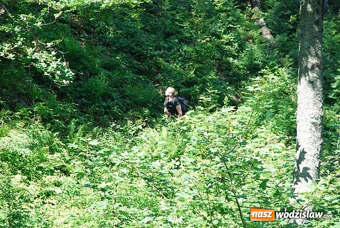 Zdjęcie w galerii na portalu naszwodzislaw.com: Marsz po górskich szlakach z Miejskim Ośrodkiem Sportu i Rekreacji Centrum  wiadomości z regionu