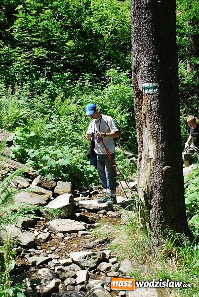 Zdjęcie w galerii na portalu naszwodzislaw.com: Marsz po górskich szlakach z Miejskim Ośrodkiem Sportu i Rekreacji Centrum  wiadomości z regionu