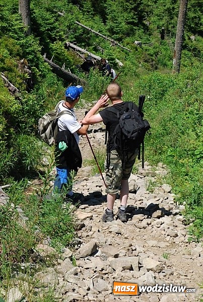 Zdjęcie w galerii na portalu naszwodzislaw.com: Marsz po górskich szlakach z Miejskim Ośrodkiem Sportu i Rekreacji Centrum  wiadomości z regionu