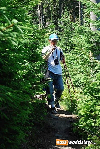 Zdjęcie w galerii na portalu naszwodzislaw.com: Marsz po górskich szlakach z Miejskim Ośrodkiem Sportu i Rekreacji Centrum  wiadomości z regionu