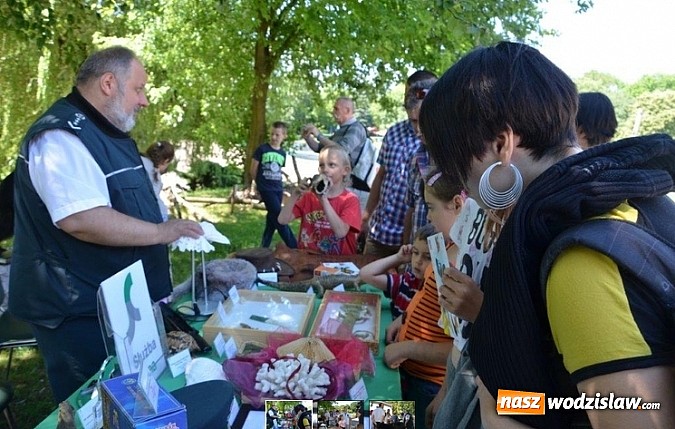 Zdjęcie w galerii na portalu naszwodzislaw.com: Tych rzeczy nie wkładaj do walizki podczas powrotu z egzotycznych wakacji wiadomości z regionu