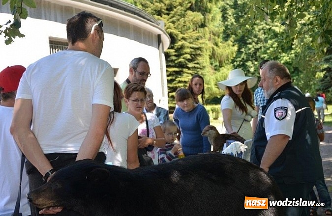 Zdjęcie w galerii na portalu naszwodzislaw.com: Tych rzeczy nie wkładaj do walizki podczas powrotu z egzotycznych wakacji wiadomości z regionu
