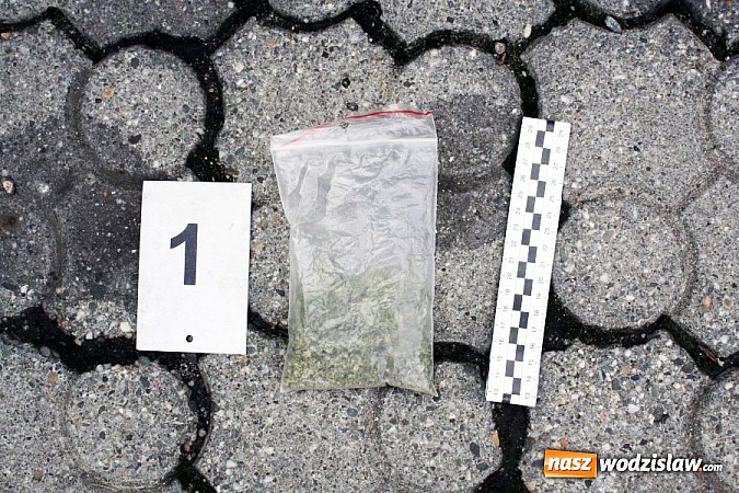 Zdjęcie w galerii na portalu naszwodzislaw.com: Kolejny nieodpowiedzialny kierowca w rękach policjant&oacute;w. W Samochodzie ujawniono dwa woreczki z suszem roślinnym wiadomości z regionu